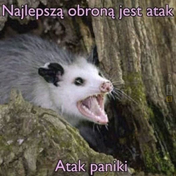 Śmieszny mem: 8711006 - MemLand