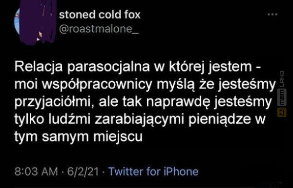 Śmieszny mem: 8711272 - MemLand