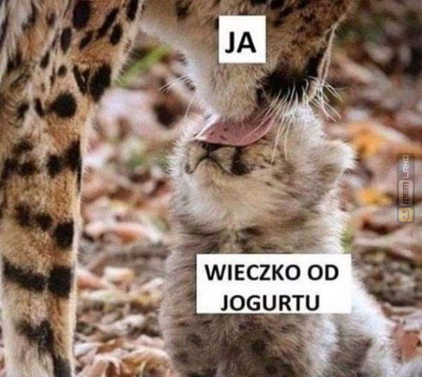 Śmieszny mem: 8718990 - MemLand