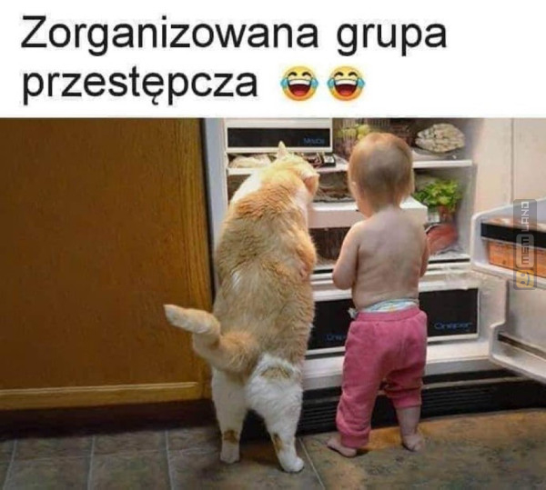 Śmieszny mem: 8720552 - MemLand