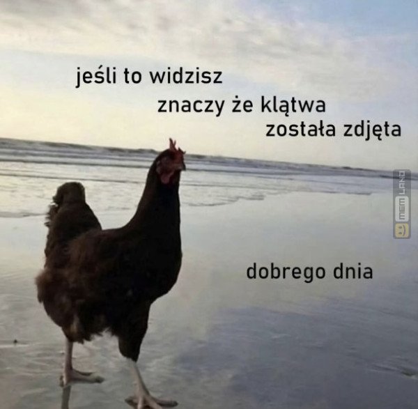 Śmieszny mem: 8722201 - MemLand