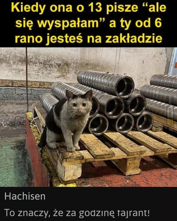 Śmieszny mem: 8736062 - MemLand