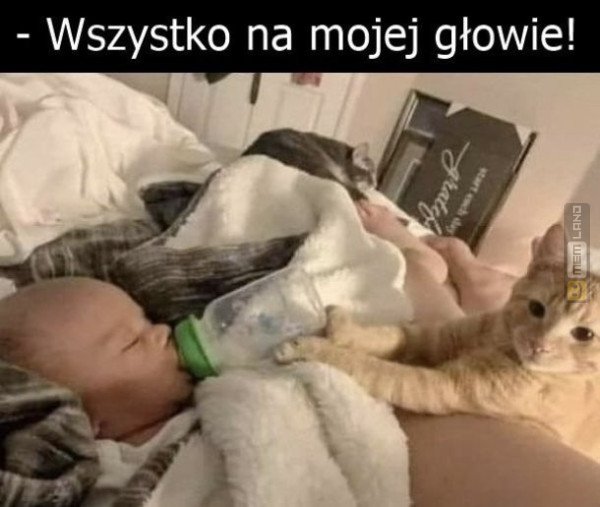 Śmieszny mem: 8744154 - MemLand