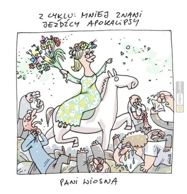 Śmieszny mem: 8754644 - MemLand