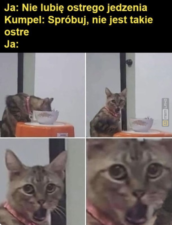 Śmieszny mem: 8762189 - MemLand