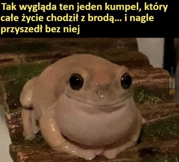 Śmieszny mem: 8774077 - MemLand
