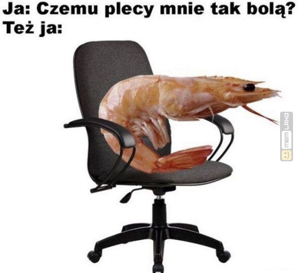 Śmieszny mem: 8780416 - MemLand