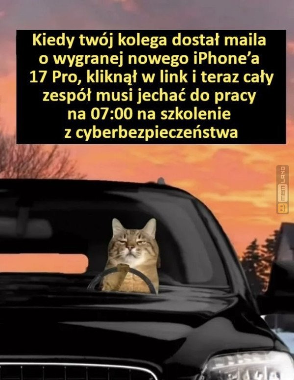 Śmieszny mem: 8781591 - MemLand