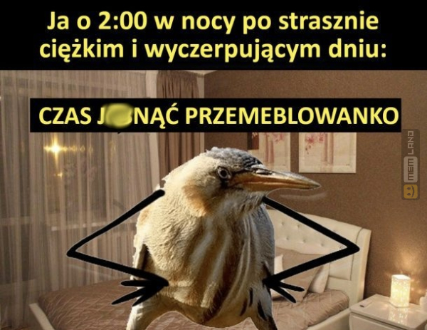 Śmieszny mem: 8784951 - MemLand