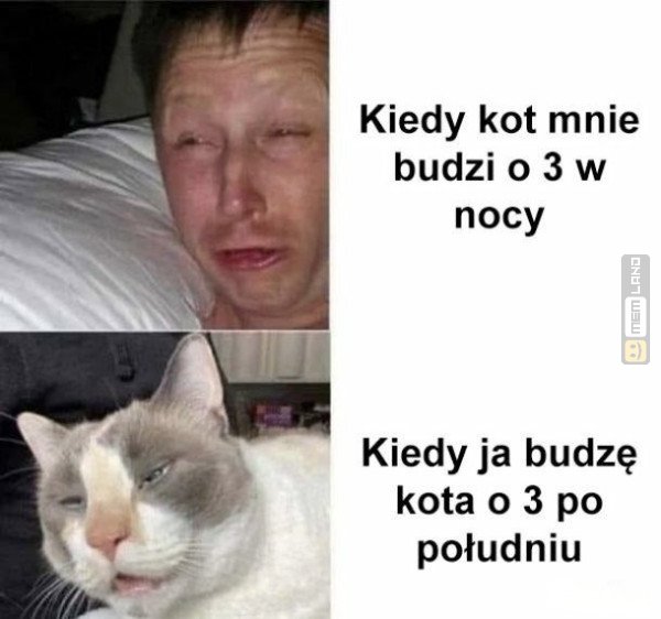 Śmieszny mem: 8787930 - MemLand