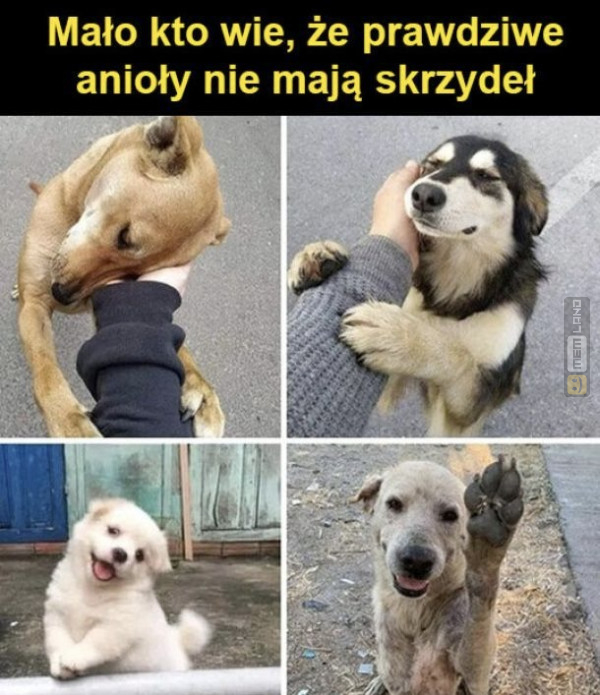 Śmieszny mem: 8789958 - MemLand