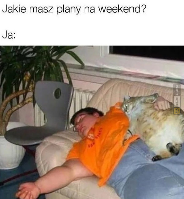 Śmieszny mem: 8791373 - MemLand