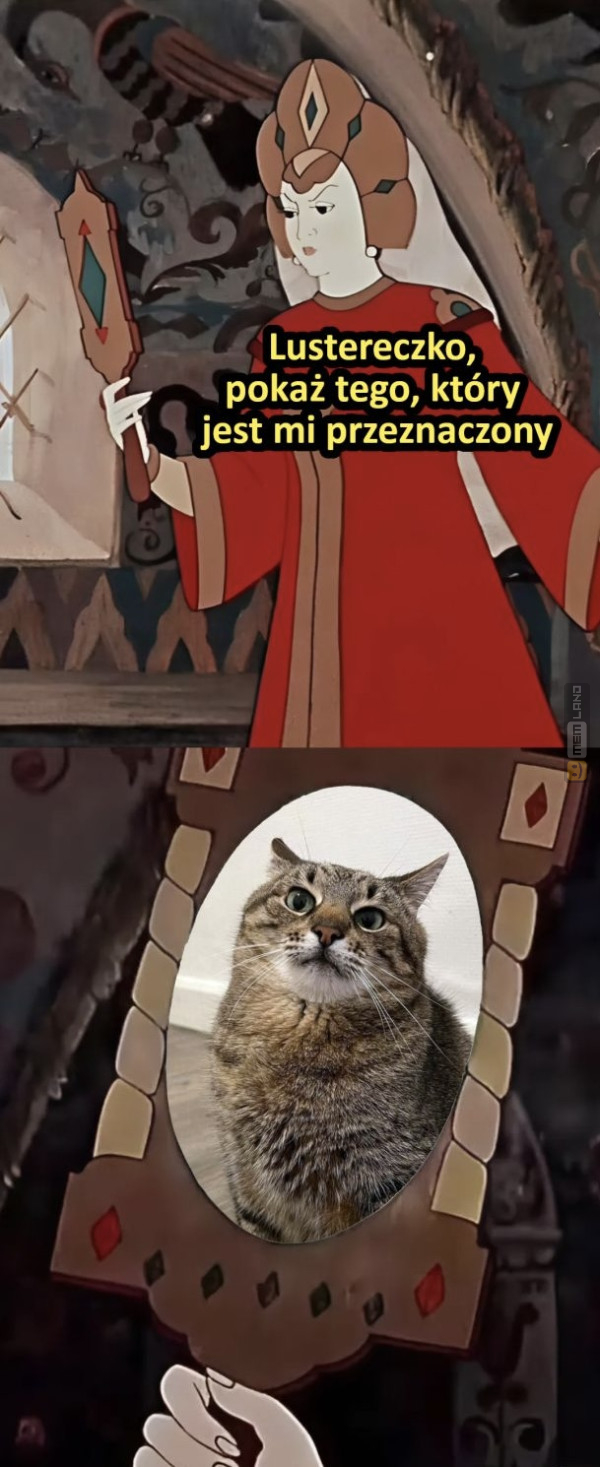 Śmieszny mem: 8791918 - MemLand