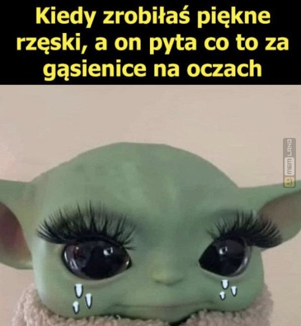 Śmieszny mem: 8794018 - MemLand
