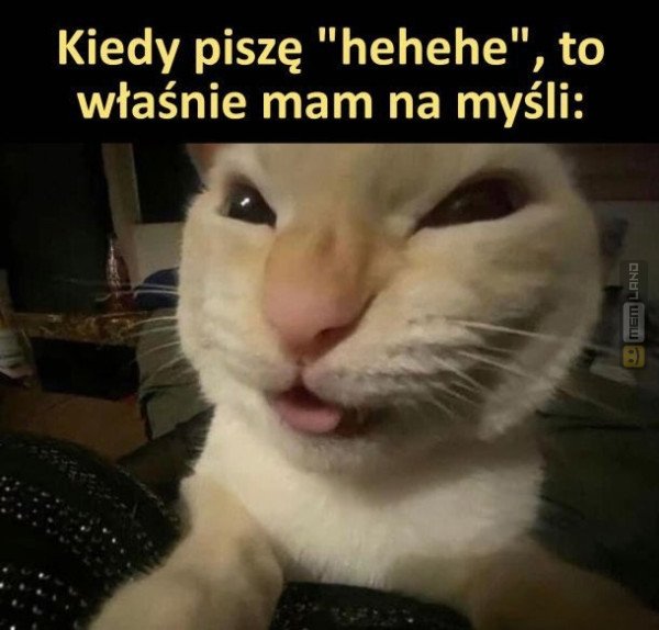 Śmieszny mem: 8808154 - MemLand