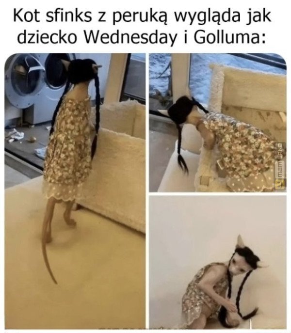 Śmieszny mem: 8816193 - MemLand
