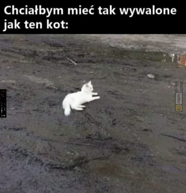 Śmieszny mem: 8817891 - MemLand