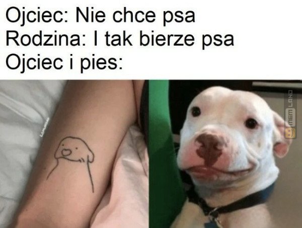 Śmieszny mem: 8819438 - MemLand