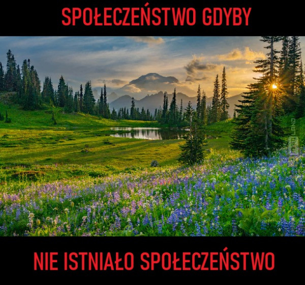 Śmieszny mem: 8828086 - MemLand