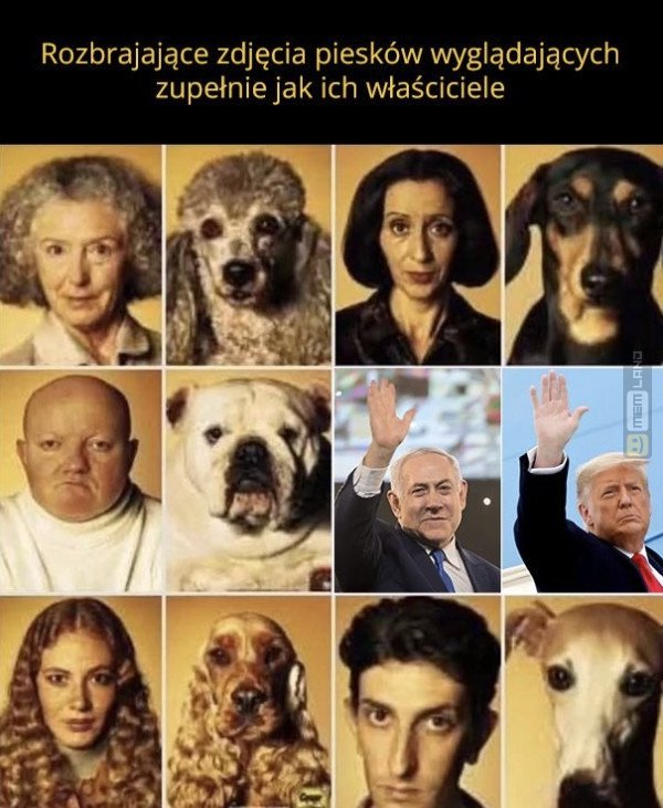 Śmieszny mem: 8829749 - MemLand