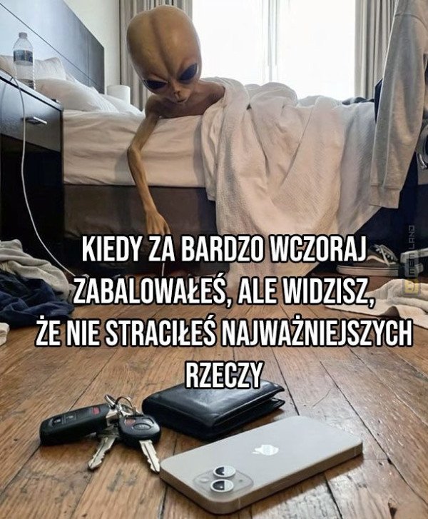 Śmieszny mem: 8839032 - MemLand