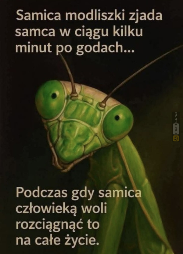 Śmieszny mem: 8849019 - MemLand