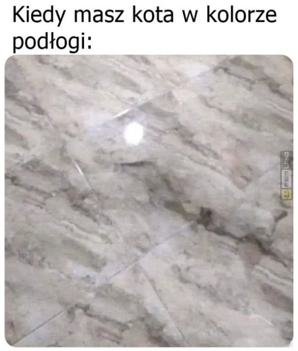 Śmieszny mem: 8863267 - MemLand