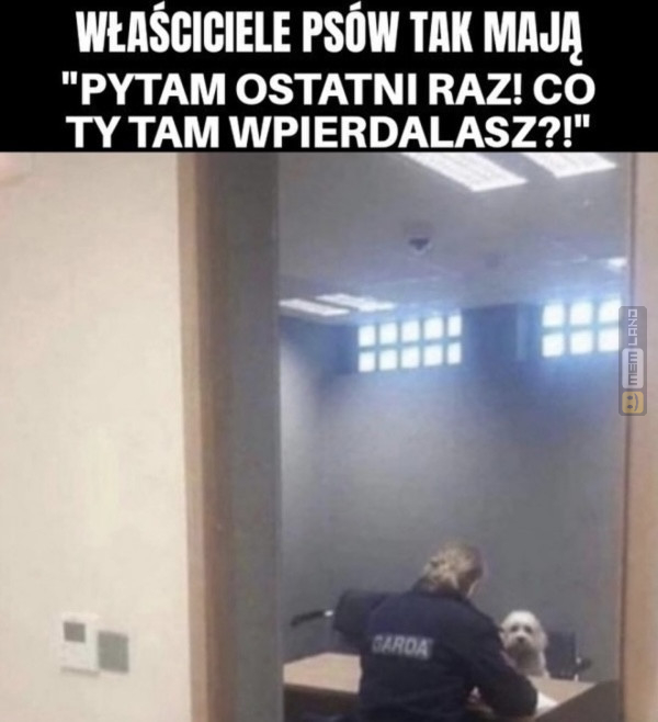 Śmieszny mem: 8865453 - MemLand