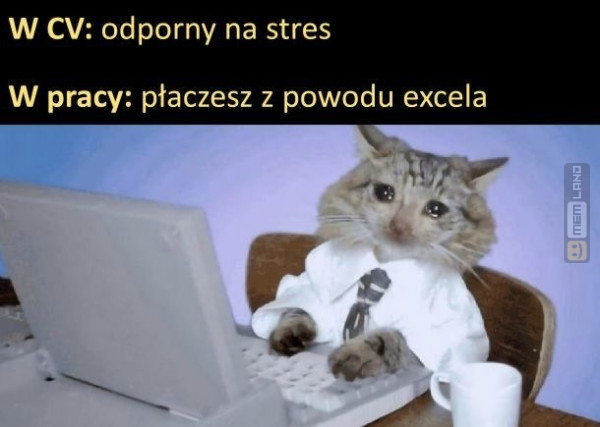 Śmieszny mem: 8867503 - MemLand