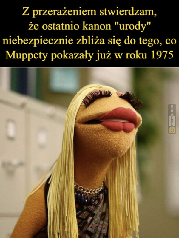 Śmieszny mem: 8877384 - MemLand