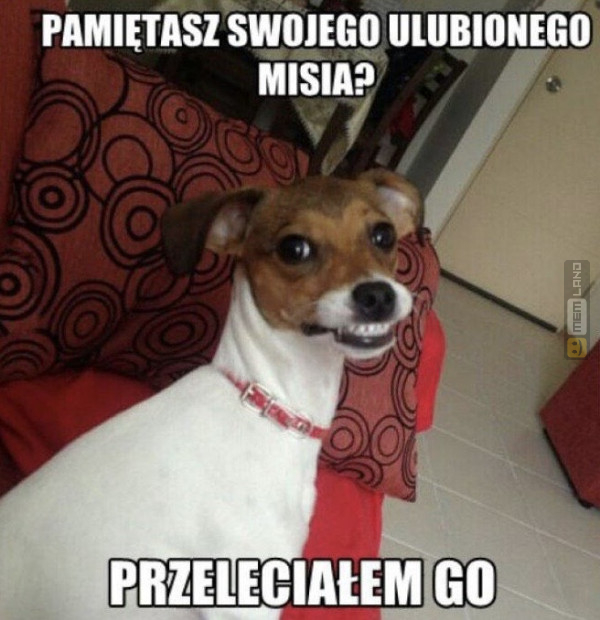 Śmieszny mem: 8878975 - MemLand