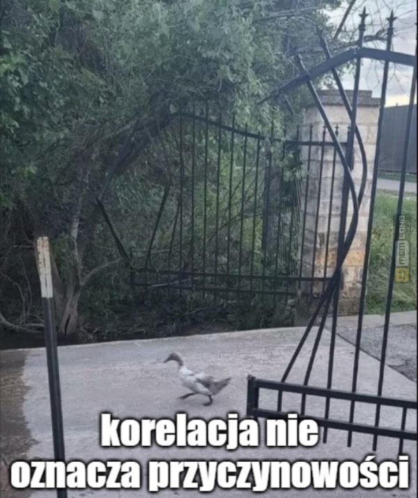 Śmieszny mem: 8880179 - MemLand