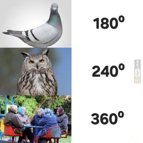 Śmieszny mem: 8887260 - MemLand