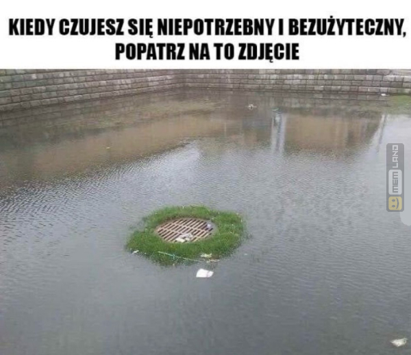 Śmieszny mem: 8892459 - MemLand