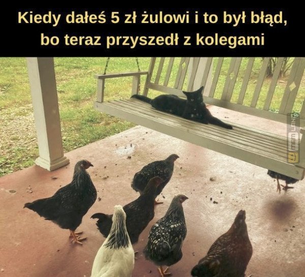 Śmieszny mem: 8895124 - MemLand