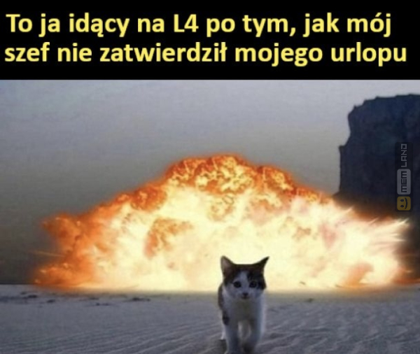 Śmieszny mem: 8897092 - MemLand