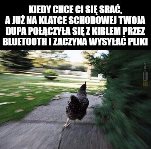 Śmieszny mem: 8900366 - MemLand