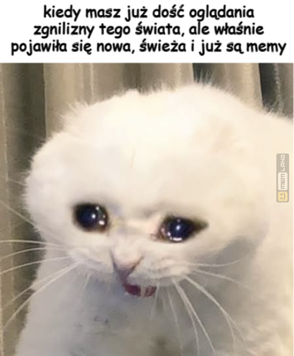Śmieszny mem: 8901516 - MemLand