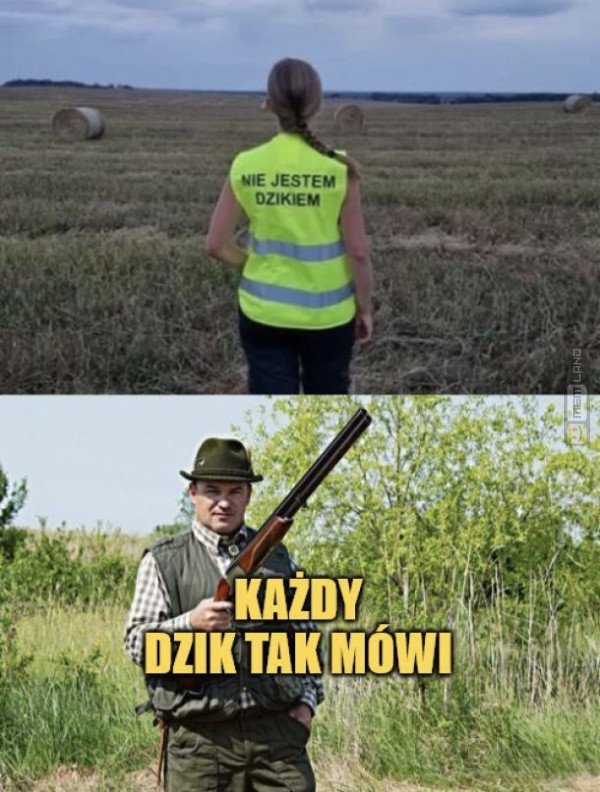Śmieszny mem: 8906824 - MemLand