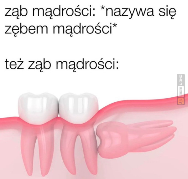 Śmieszny mem: 8907744 - MemLand