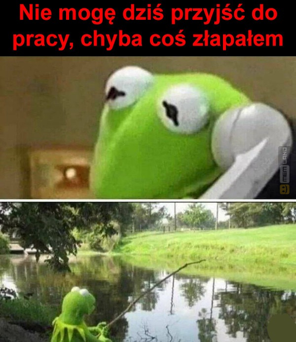 Śmieszny mem: 8909415 - MemLand