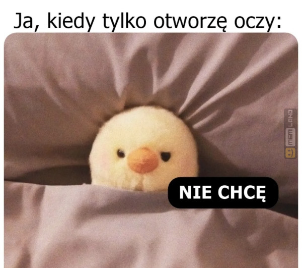 Śmieszny mem: 8909481 - MemLand