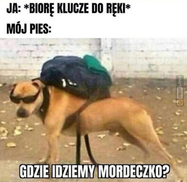 Śmieszny mem: 8912082 - MemLand