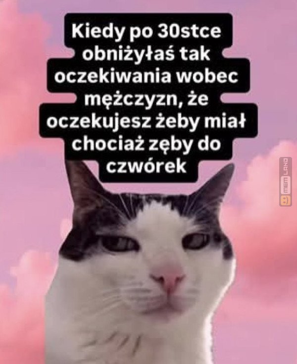 Śmieszny mem: 8912837 - MemLand