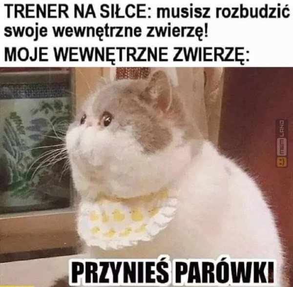 Śmieszny mem: 8913883 - MemLand