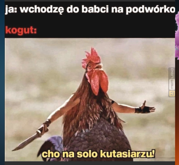 Śmieszny mem: 8919123 - MemLand