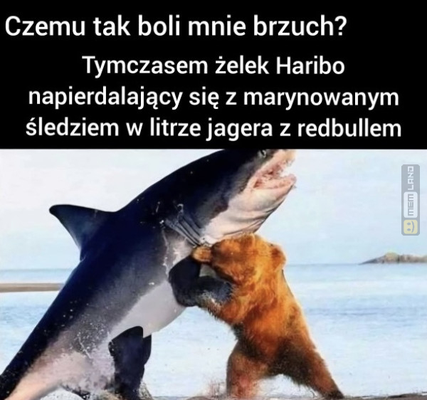 Śmieszny mem: 8941192 - MemLand