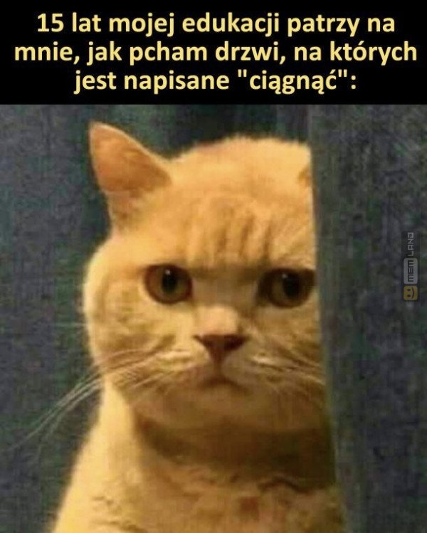 Śmieszny mem: 8941731 - MemLand