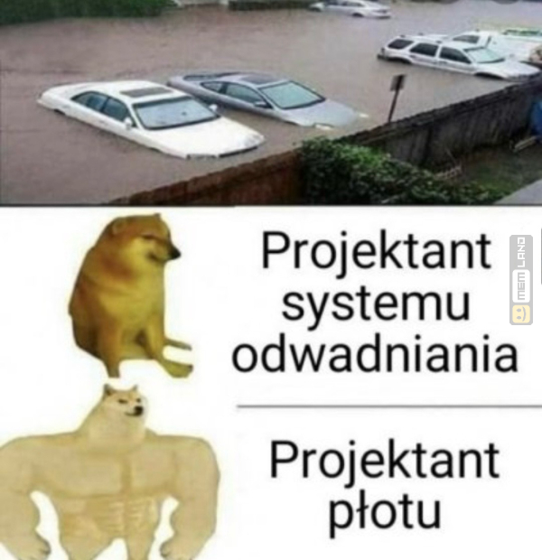 Śmieszny mem: 8943723 - MemLand