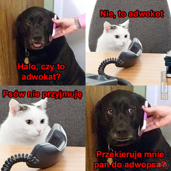 Śmieszny mem: 8943836 - MemLand